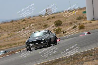 media/May-03-2025-Lucky Dog Racing (Sat) [[206de64b9d]]/Turn 6 (150pm-230pm)/